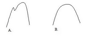 Impact Transient Heel vs Forefoot